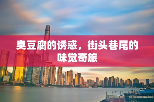 臭豆腐的诱惑，街头巷尾的味觉奇旅