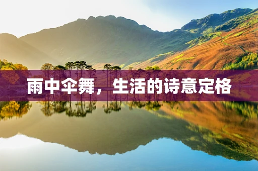 雨中伞舞，生活的诗意定格