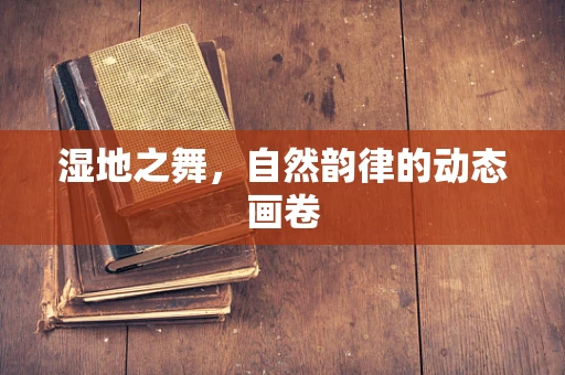 湿地之舞，自然韵律的动态画卷