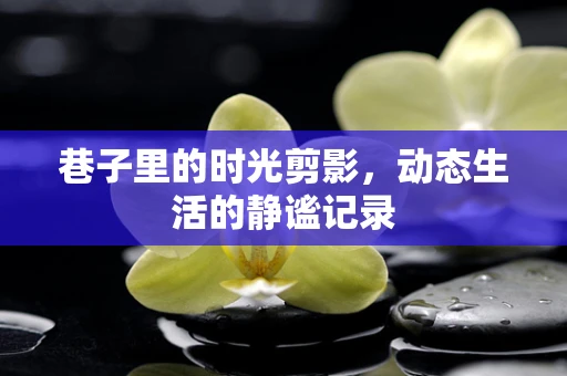 巷子里的时光剪影，动态生活的静谧记录