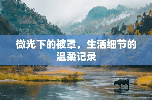 微光下的被罩，生活细节的温柔记录