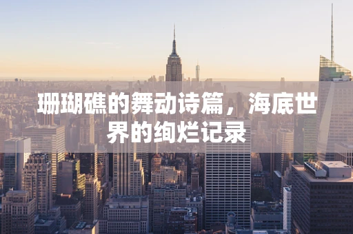 珊瑚礁的舞动诗篇，海底世界的绚烂记录