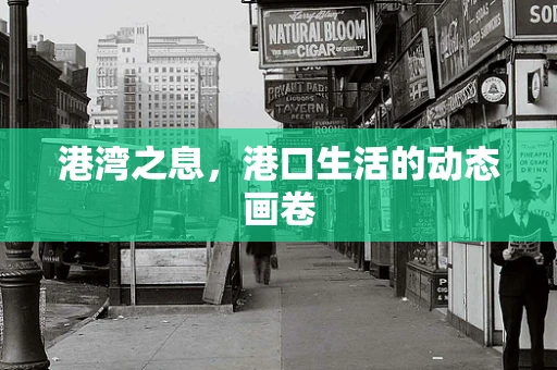 港湾之息，港口生活的动态画卷