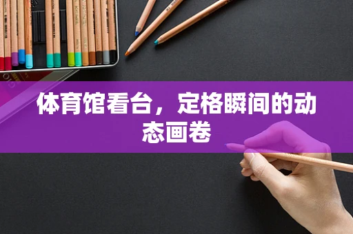 体育馆看台，定格瞬间的动态画卷