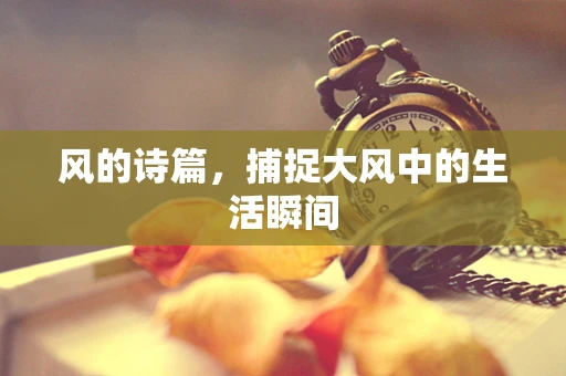 风的诗篇，捕捉大风中的生活瞬间