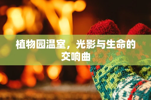 植物园温室，光影与生命的交响曲