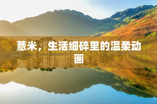 薏米，生活细碎里的温柔动画