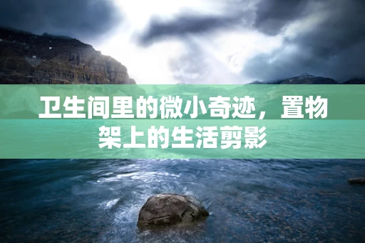 卫生间里的微小奇迹，置物架上的生活剪影