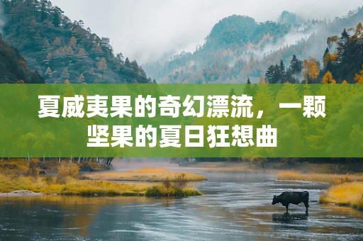 夏威夷果的奇幻漂流，一颗坚果的夏日狂想曲