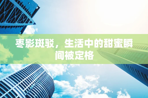 枣影斑驳，生活中的甜蜜瞬间被定格