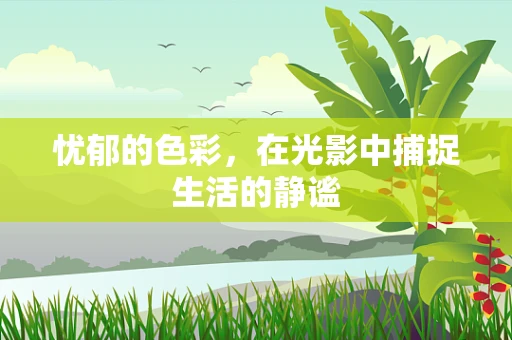 忧郁的色彩，在光影中捕捉生活的静谧
