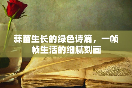 蒜苗生长的绿色诗篇，一帧帧生活的细腻刻画