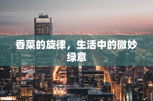 香菜的旋律，生活中的微妙绿意