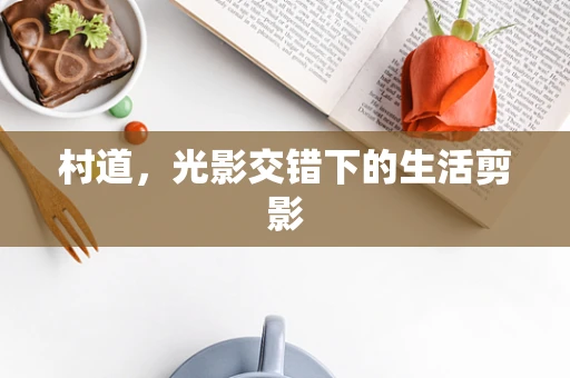 村道，光影交错下的生活剪影