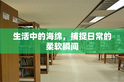 生活中的海绵，捕捉日常的柔软瞬间