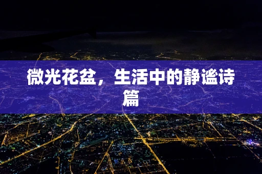 微光花盆，生活中的静谧诗篇