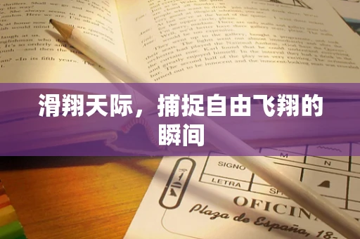 滑翔天际，捕捉自由飞翔的瞬间