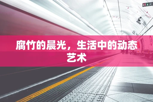 腐竹的晨光，生活中的动态艺术