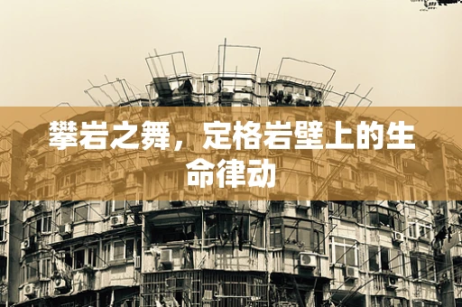 攀岩之舞，定格岩壁上的生命律动
