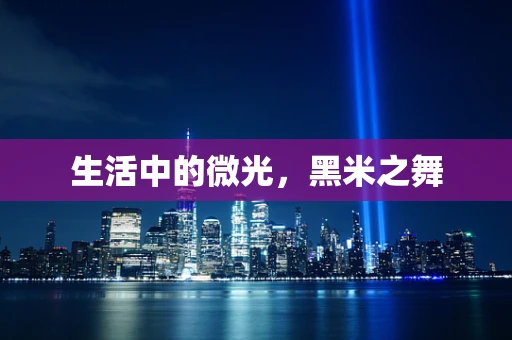 生活中的微光，黑米之舞