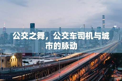 公交之舞，公交车司机与城市的脉动