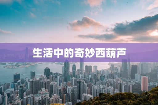 生活中的奇妙西葫芦