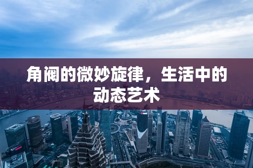 角阀的微妙旋律，生活中的动态艺术