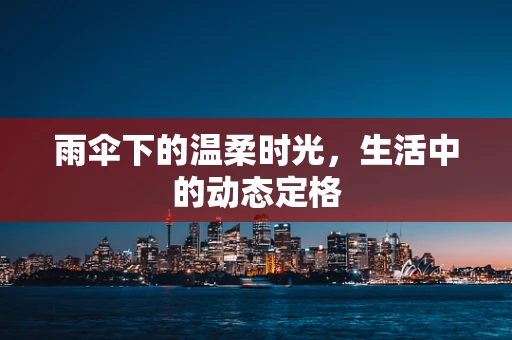 雨伞下的温柔时光，生活中的动态定格