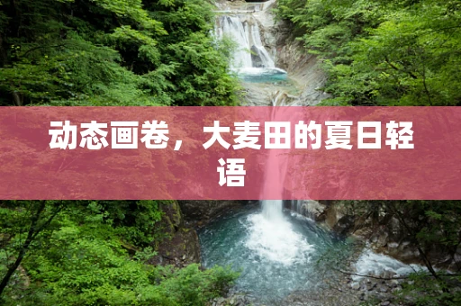 动态画卷，大麦田的夏日轻语