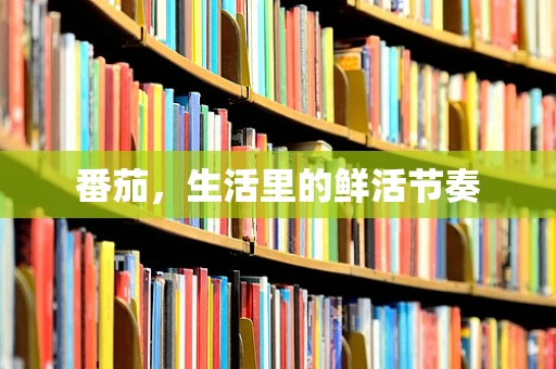 番茄，生活里的鲜活节奏