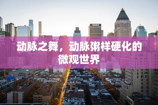 动脉之舞，动脉粥样硬化的微观世界