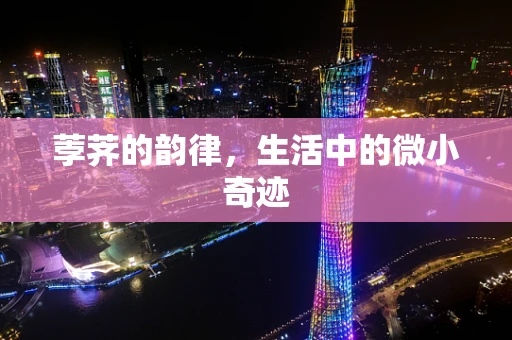 荸荠的韵律，生活中的微小奇迹