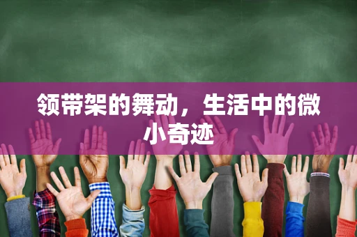 领带架的舞动，生活中的微小奇迹