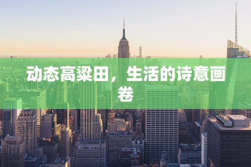 动态高粱田，生活的诗意画卷