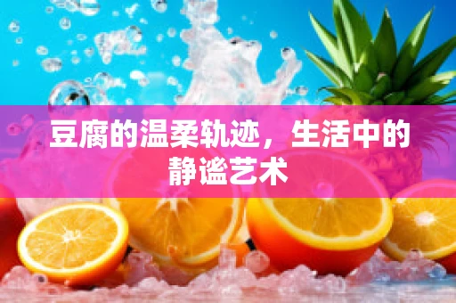 豆腐的温柔轨迹，生活中的静谧艺术