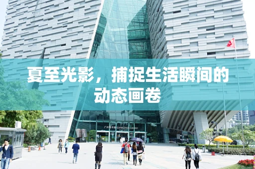 夏至光影，捕捉生活瞬间的动态画卷