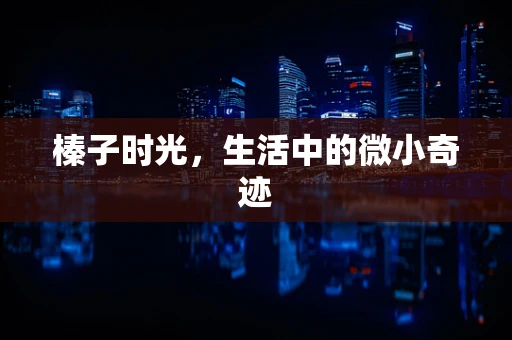 榛子时光，生活中的微小奇迹