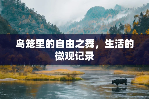鸟笼里的自由之舞，生活的微观记录