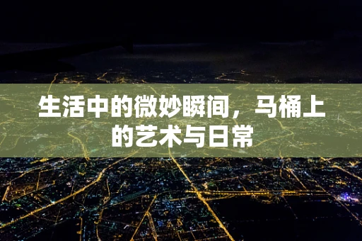 生活中的微妙瞬间，马桶上的艺术与日常