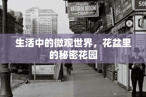 生活中的微观世界，花盆里的秘密花园