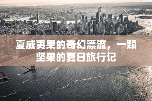 夏威夷果的奇幻漂流，一颗坚果的夏日旅行记