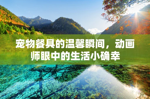 宠物餐具的温馨瞬间，动画师眼中的生活小确幸
