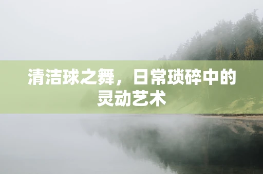 清洁球之舞，日常琐碎中的灵动艺术