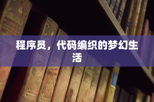 程序员，代码编织的梦幻生活