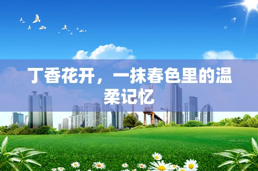 丁香花开，一抹春色里的温柔记忆