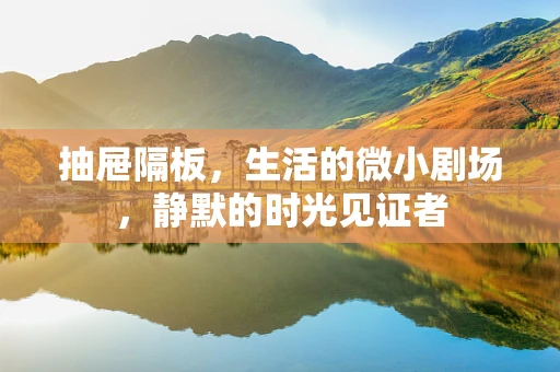 抽屉隔板，生活的微小剧场，静默的时光见证者