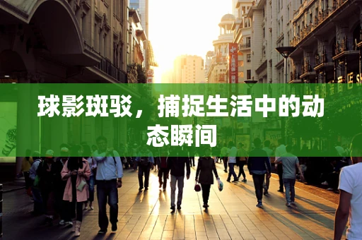 球影斑驳，捕捉生活中的动态瞬间