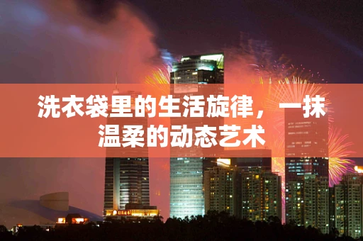 洗衣袋里的生活旋律，一抹温柔的动态艺术