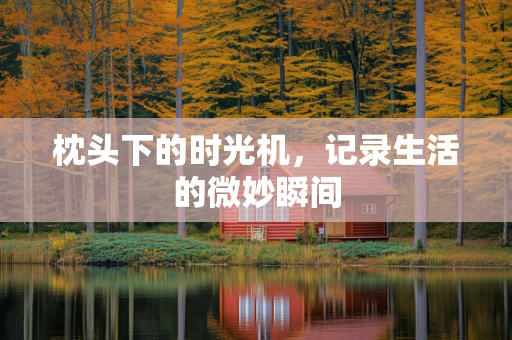 枕头下的时光机，记录生活的微妙瞬间
