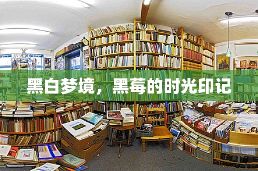 黑白梦境，黑莓的时光印记
